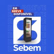 Cervejeira Cervejeiro Geladeira Cerveja Bebida Slim 300 Litros Preta Porta de Vidro Seminova 