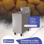 Fritadeira Fritador a Gás Alta Potencia 2 Cestos Grandes 20 Litros Inox Skymsen FG20